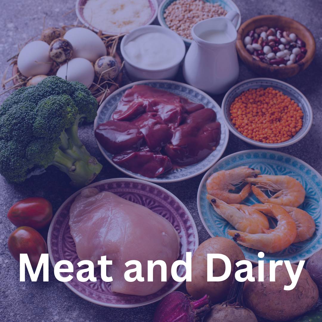 meat and dairy - Copy